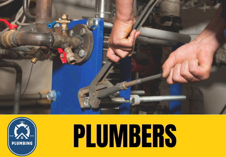  plumber Painters Ash